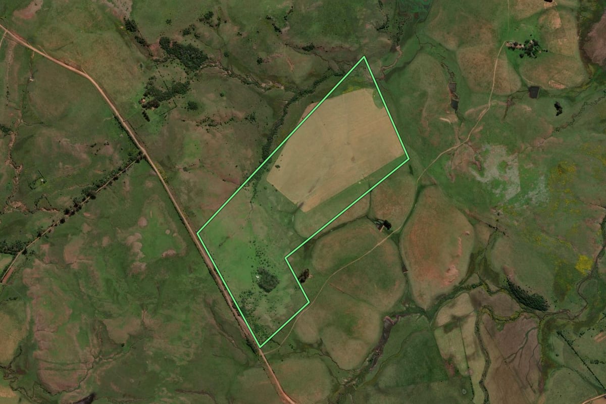 Imagem de satélite do imóvel rural em Alegrete (RS), com o contorno declarado no CAR desenhado por cima.