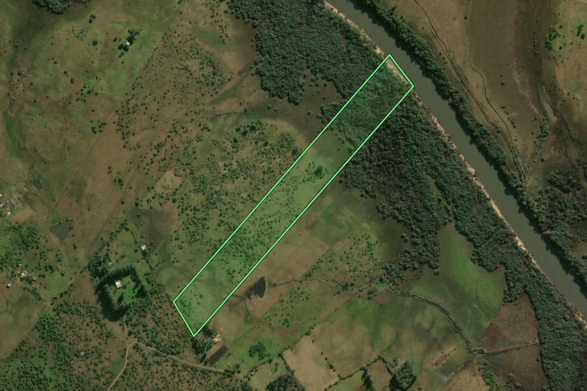 Imagem de satélite do imóvel rural em Alegrete (RS), com o contorno declarado no CAR desenhado por cima.