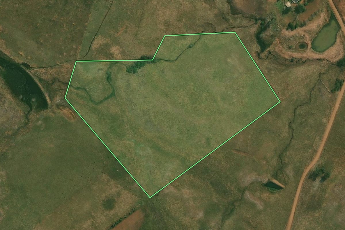 Imagem de satélite do imóvel rural em Alegrete (RS), com o contorno declarado no CAR desenhado por cima.