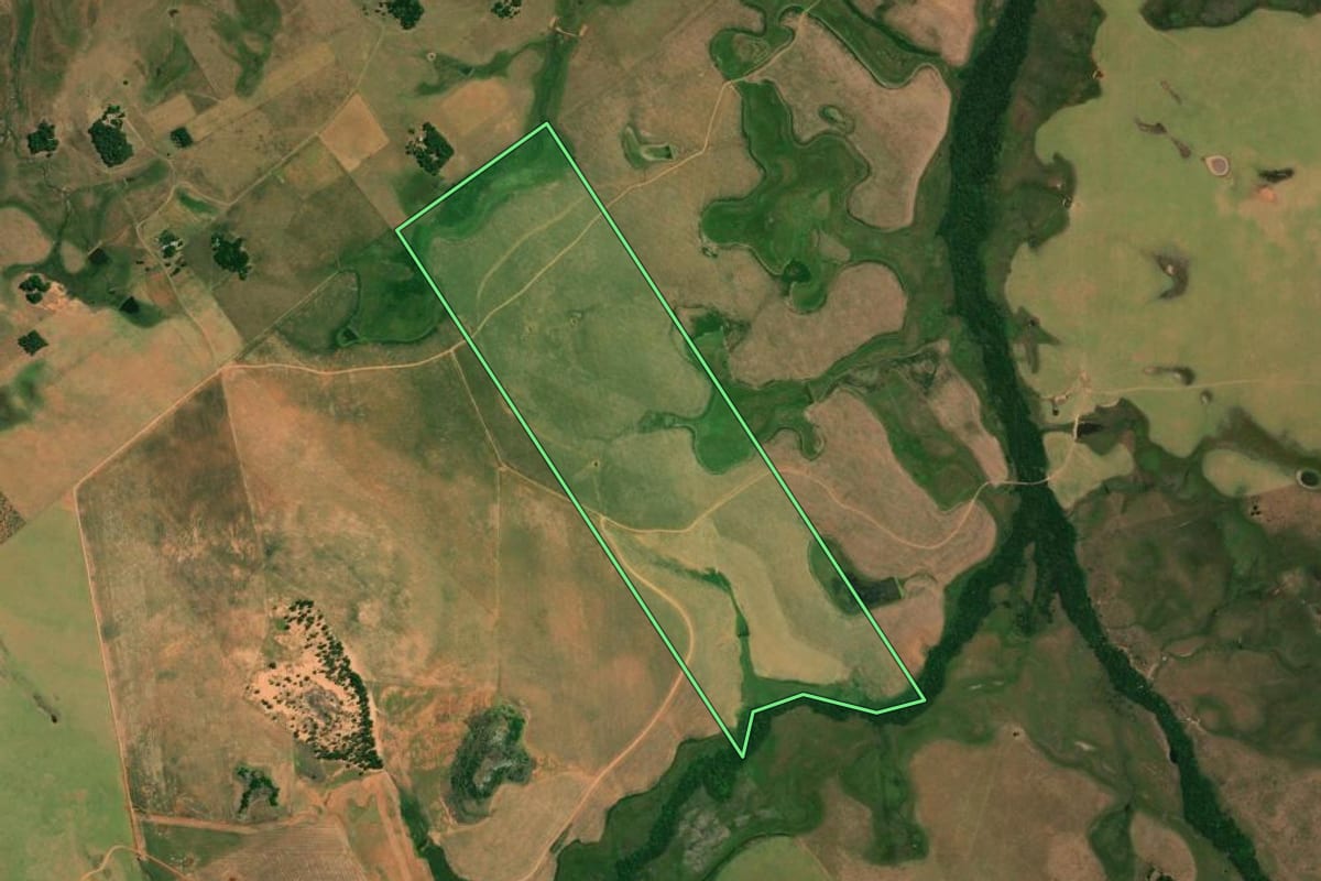Imagem de satélite do imóvel rural em Alegrete (RS), com o contorno declarado no CAR desenhado por cima.