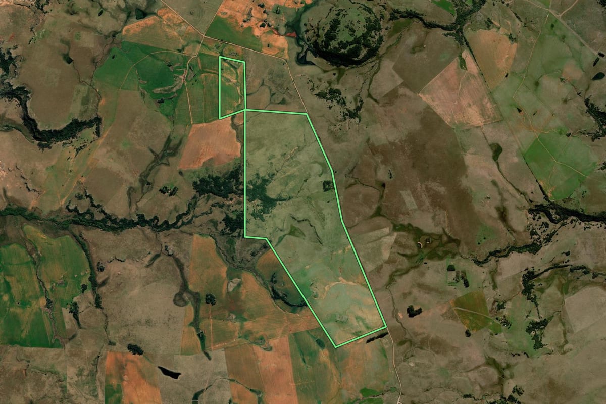 Imagem de satélite do imóvel rural em Alegrete (RS), com o contorno declarado no CAR desenhado por cima.