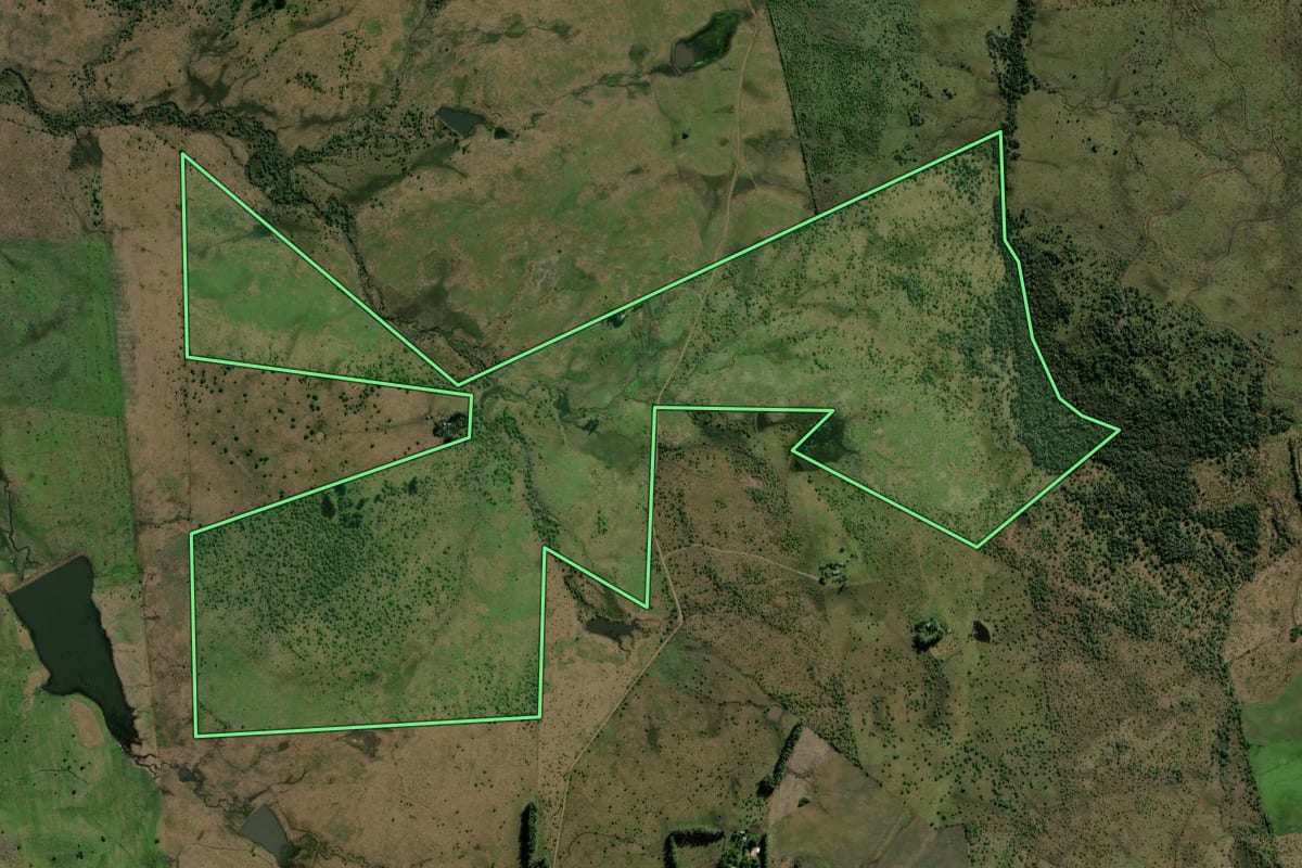 Imagem de satélite do imóvel rural em Alegrete (RS), com o contorno declarado no CAR desenhado por cima.