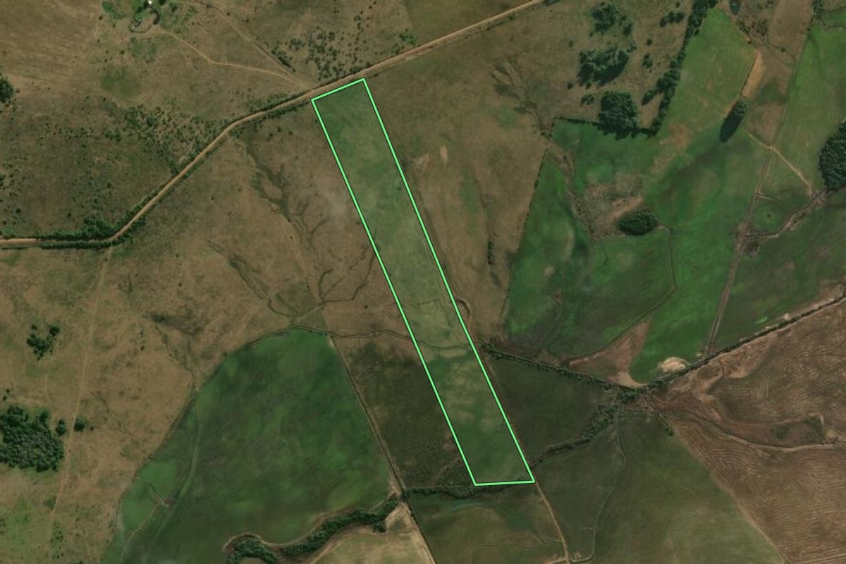 Imagem de satélite do imóvel rural em Alegrete (RS), com o contorno declarado no CAR desenhado por cima.