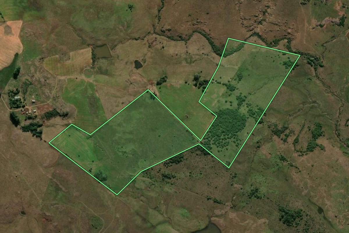 Imagem de satélite do imóvel rural em Alegrete (RS), com o contorno declarado no CAR desenhado por cima.