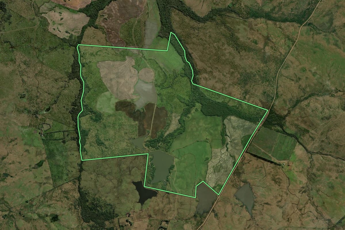 Imagem de satélite do imóvel rural em Alegrete (RS), com o contorno declarado no CAR desenhado por cima.