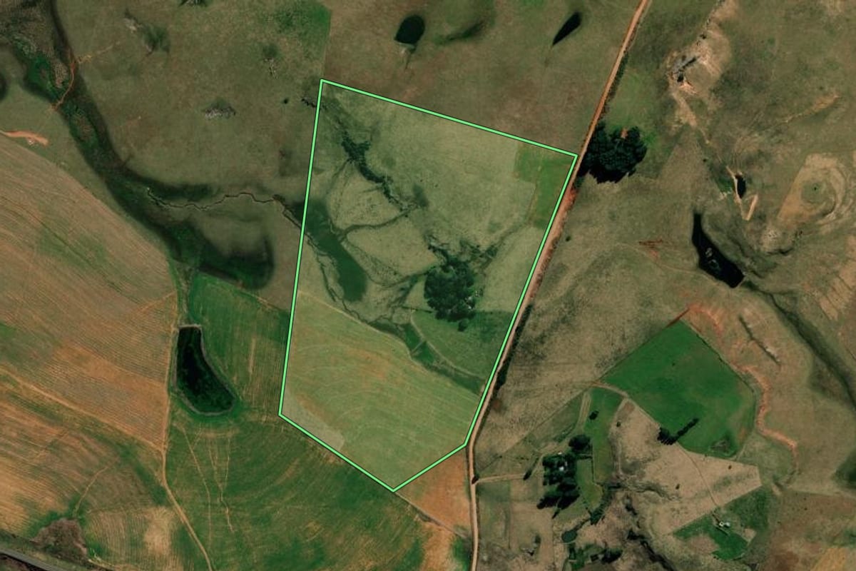 Imagem de satélite do imóvel rural em Alegrete (RS), com o contorno declarado no CAR desenhado por cima.