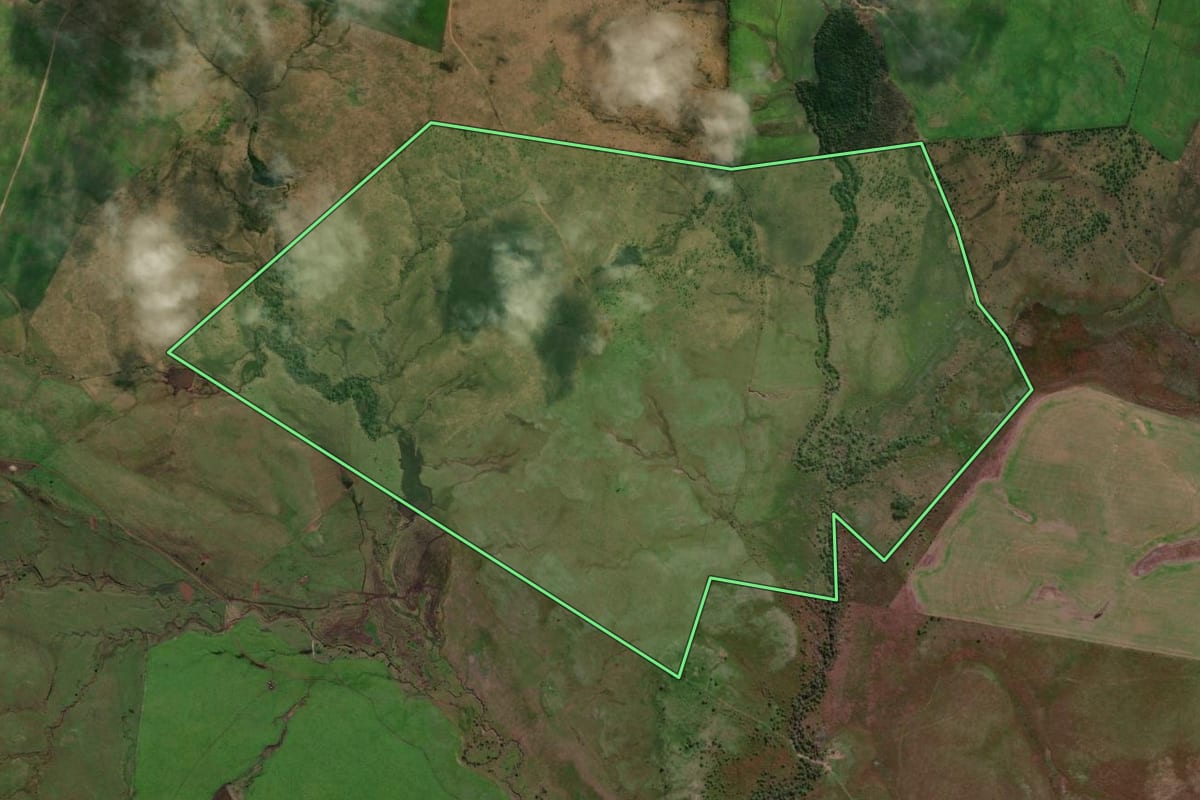 Imagem de satélite do imóvel rural em Alegrete (RS), com o contorno declarado no CAR desenhado por cima.