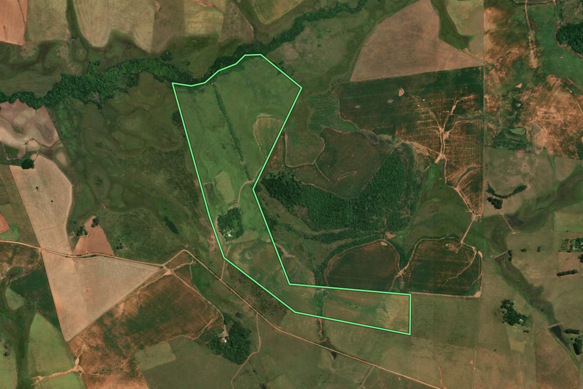 Imagem de satélite do imóvel rural em Alegrete (RS), com o contorno declarado no CAR desenhado por cima.