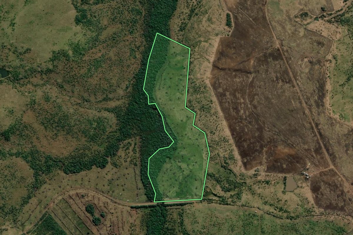 Imagem de satélite do imóvel rural em Alegrete (RS), com o contorno declarado no CAR desenhado por cima.
