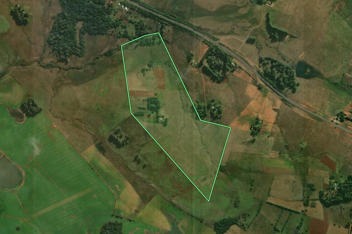 Imagem de satélite do imóvel rural em Alegrete (RS), com o contorno declarado no CAR desenhado por cima.