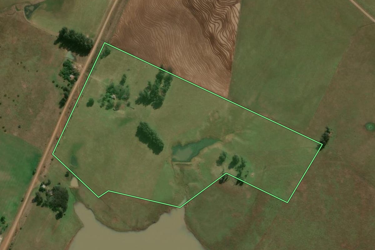 Imagem de satélite do imóvel rural em Alegrete (RS), com o contorno declarado no CAR desenhado por cima.