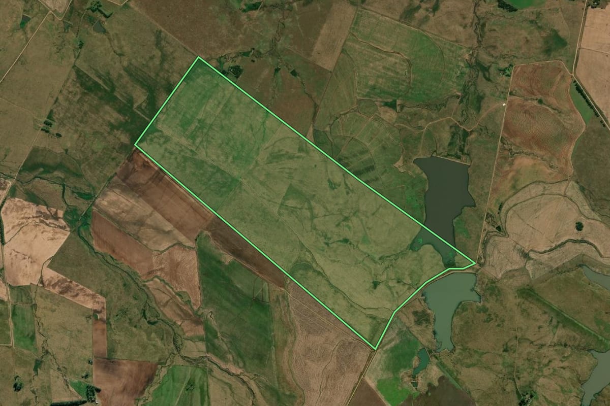 Imagem de satélite do imóvel rural em Alegrete (RS), com o contorno declarado no CAR desenhado por cima.