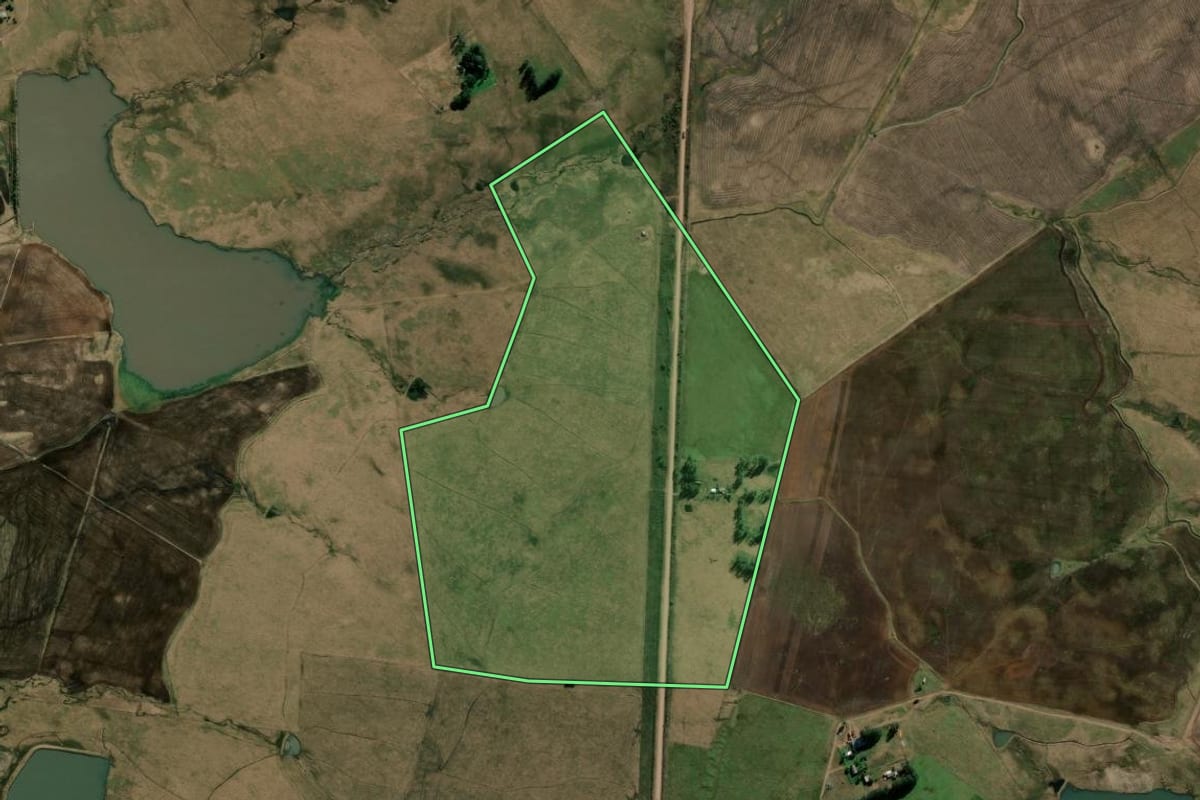 Imagem de satélite do imóvel rural em Alegrete (RS), com o contorno declarado no CAR desenhado por cima.