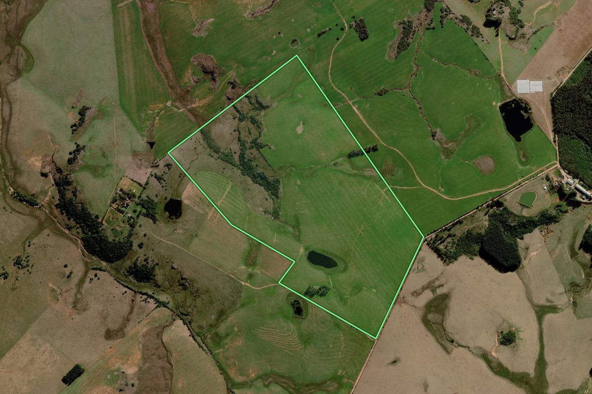 Imagem de satélite do imóvel rural em Alegrete (RS), com o contorno declarado no CAR desenhado por cima.