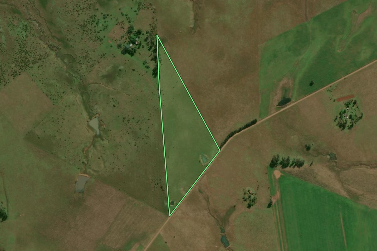 Imagem de satélite do imóvel rural em Alegrete (RS), com o contorno declarado no CAR desenhado por cima.