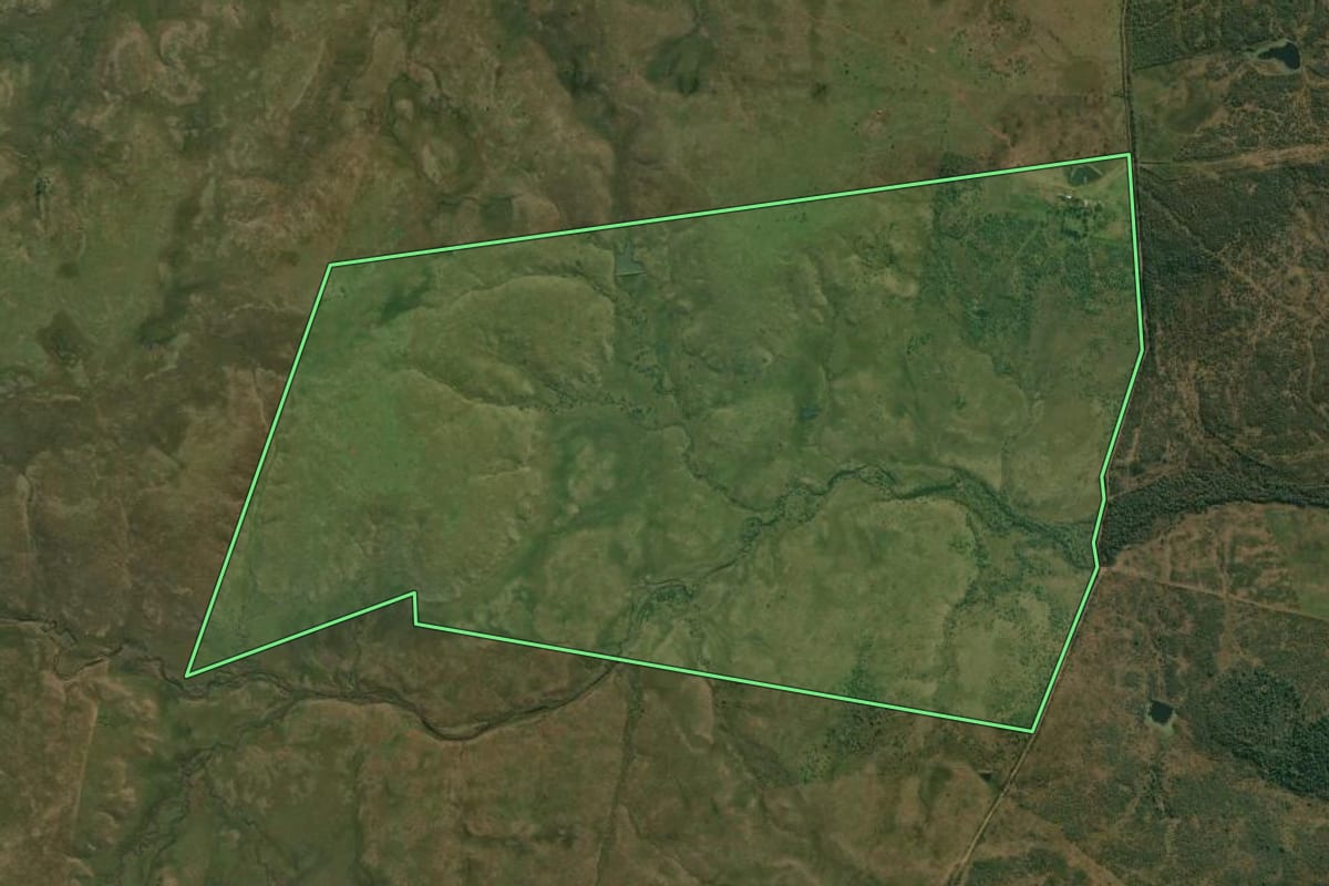 Imagem de satélite do imóvel rural em Alegrete (RS), com o contorno declarado no CAR desenhado por cima.