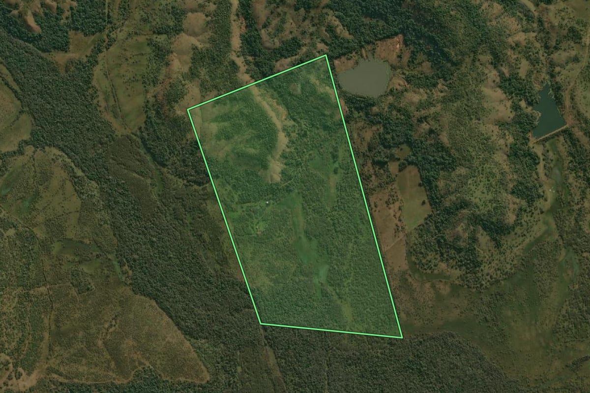 Imagem de satélite do imóvel rural em Alegrete (RS), com o contorno declarado no CAR desenhado por cima.