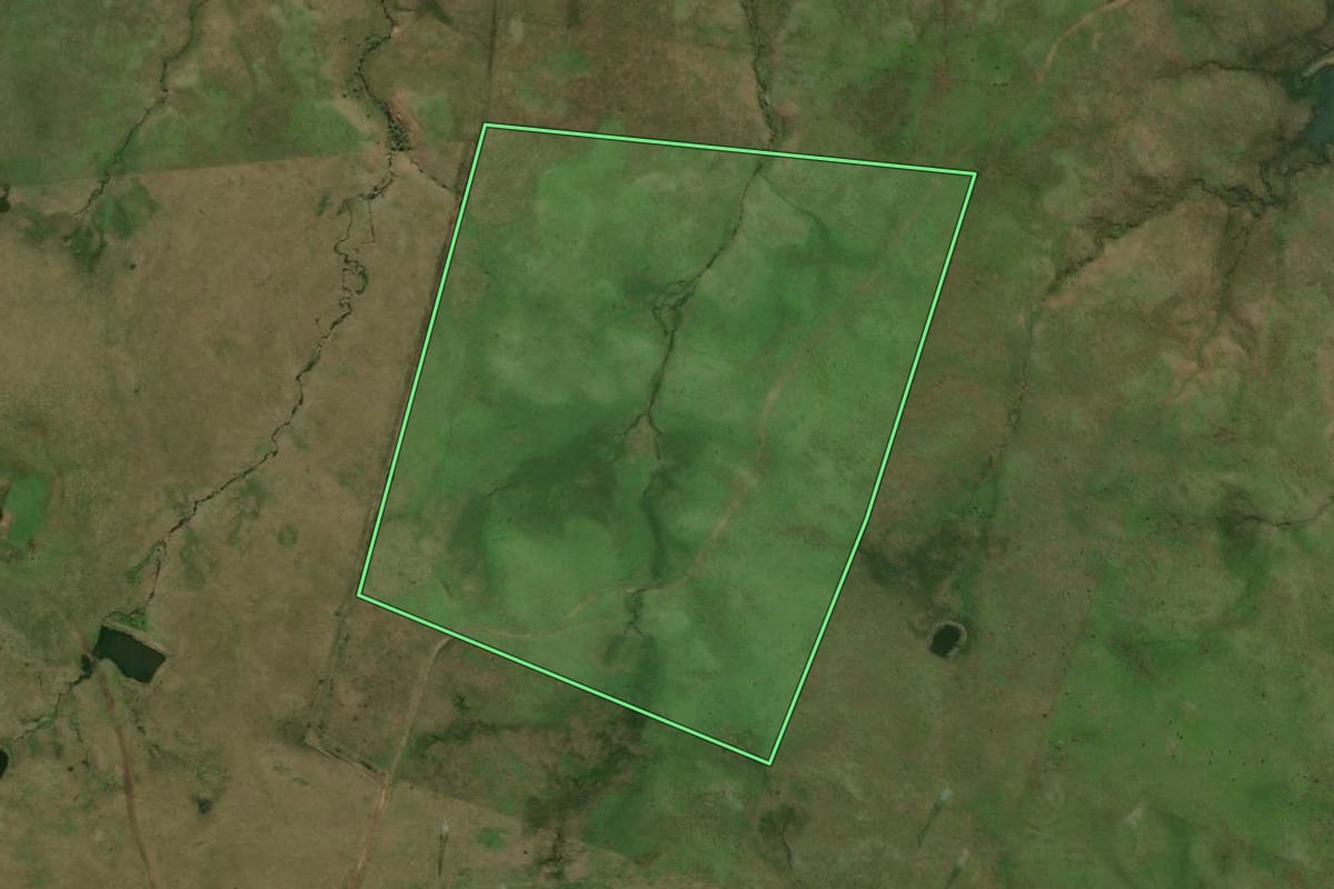 Imagem de satélite do imóvel rural em Alegrete (RS), com o contorno declarado no CAR desenhado por cima.