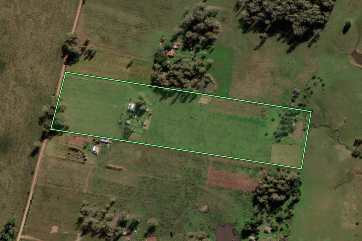 Imagem de satélite do imóvel rural em Alegrete (RS), com o contorno declarado no CAR desenhado por cima.