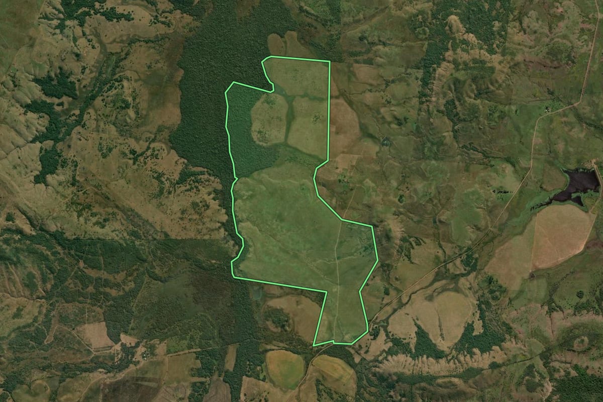 Imagem de satélite do imóvel rural em Alegrete (RS), com o contorno declarado no CAR desenhado por cima.