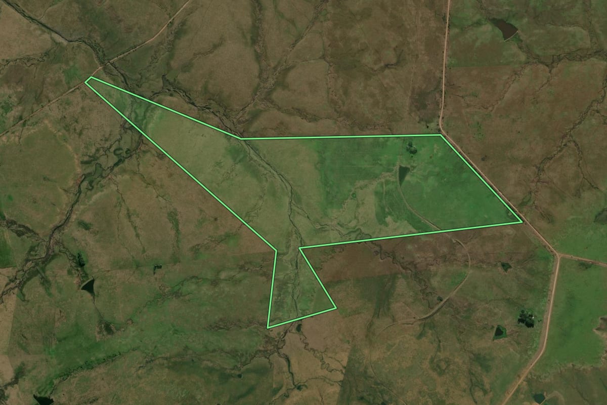 Imagem de satélite do imóvel rural em Alegrete (RS), com o contorno declarado no CAR desenhado por cima.