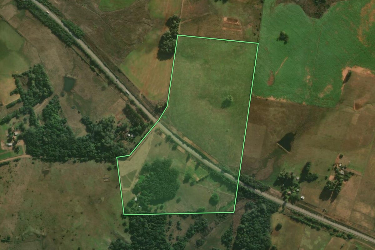 Imagem de satélite do imóvel rural em Alegrete (RS), com o contorno declarado no CAR desenhado por cima.