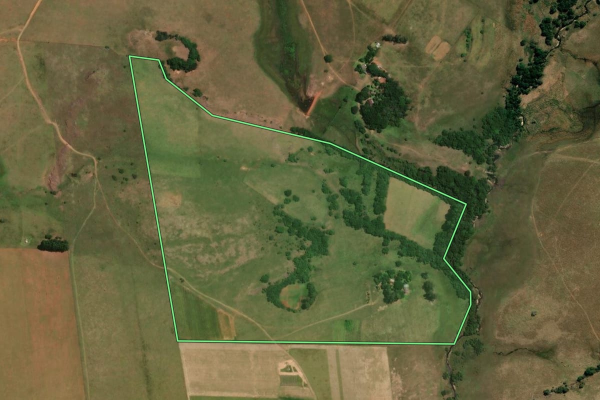 Imagem de satélite do imóvel rural em Alegrete (RS), com o contorno declarado no CAR desenhado por cima.