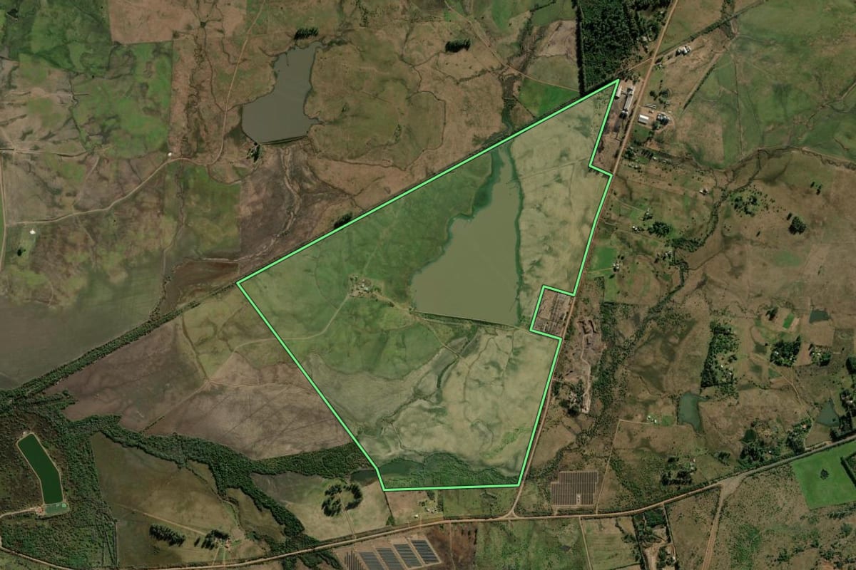 Imagem de satélite do imóvel rural em Alegrete (RS), com o contorno declarado no CAR desenhado por cima.