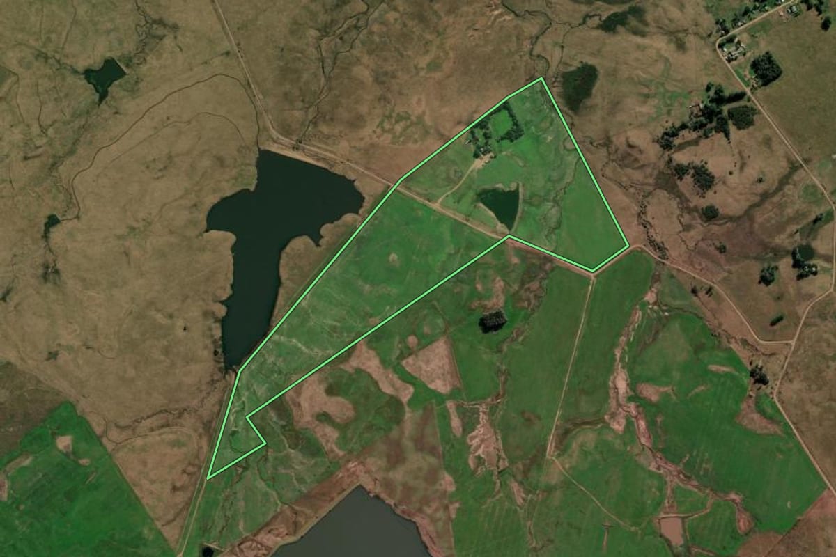 Imagem de satélite do imóvel rural em Alegrete (RS), com o contorno declarado no CAR desenhado por cima.
