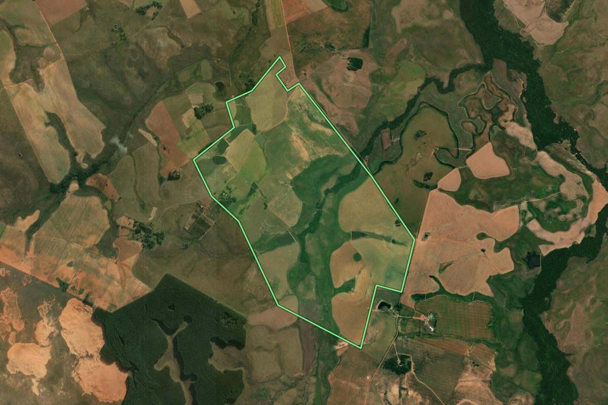 Imagem de satélite do imóvel rural em Alegrete (RS), com o contorno declarado no CAR desenhado por cima.
