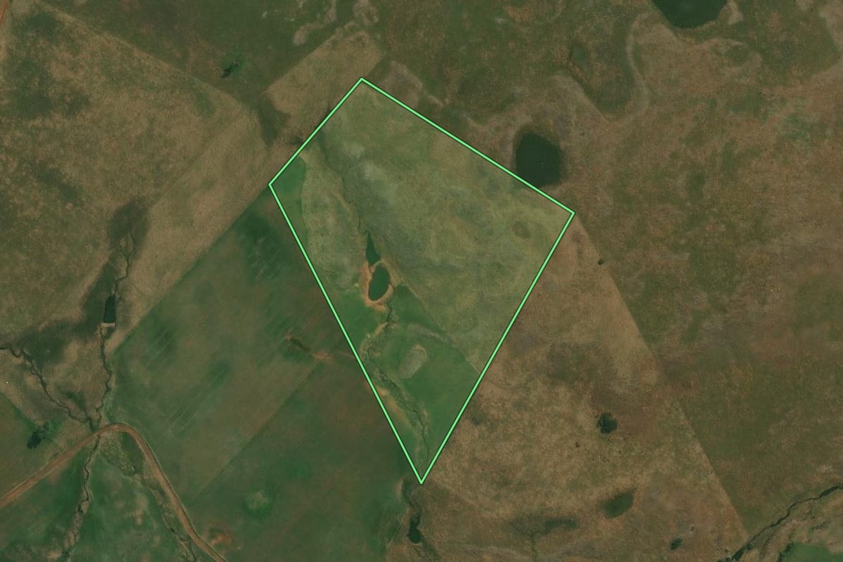 Imagem de satélite do imóvel rural em Alegrete (RS), com o contorno declarado no CAR desenhado por cima.