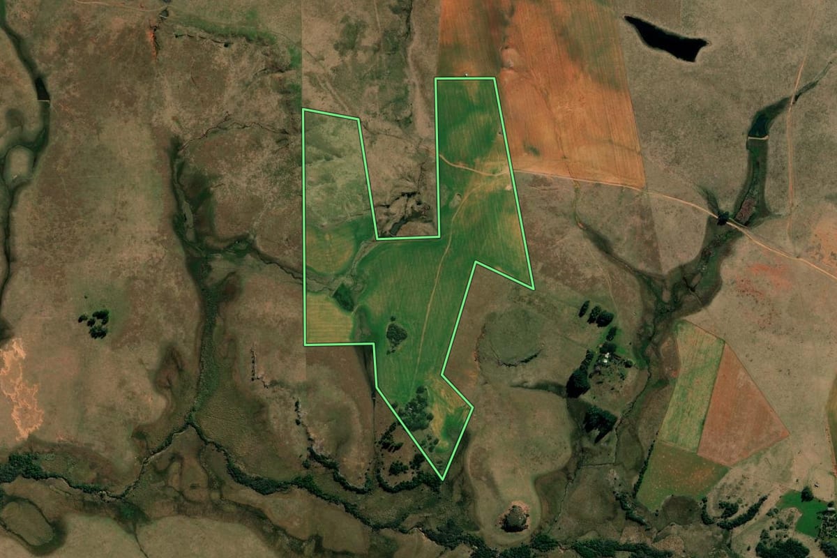 Imagem de satélite do imóvel rural em Alegrete (RS), com o contorno declarado no CAR desenhado por cima.