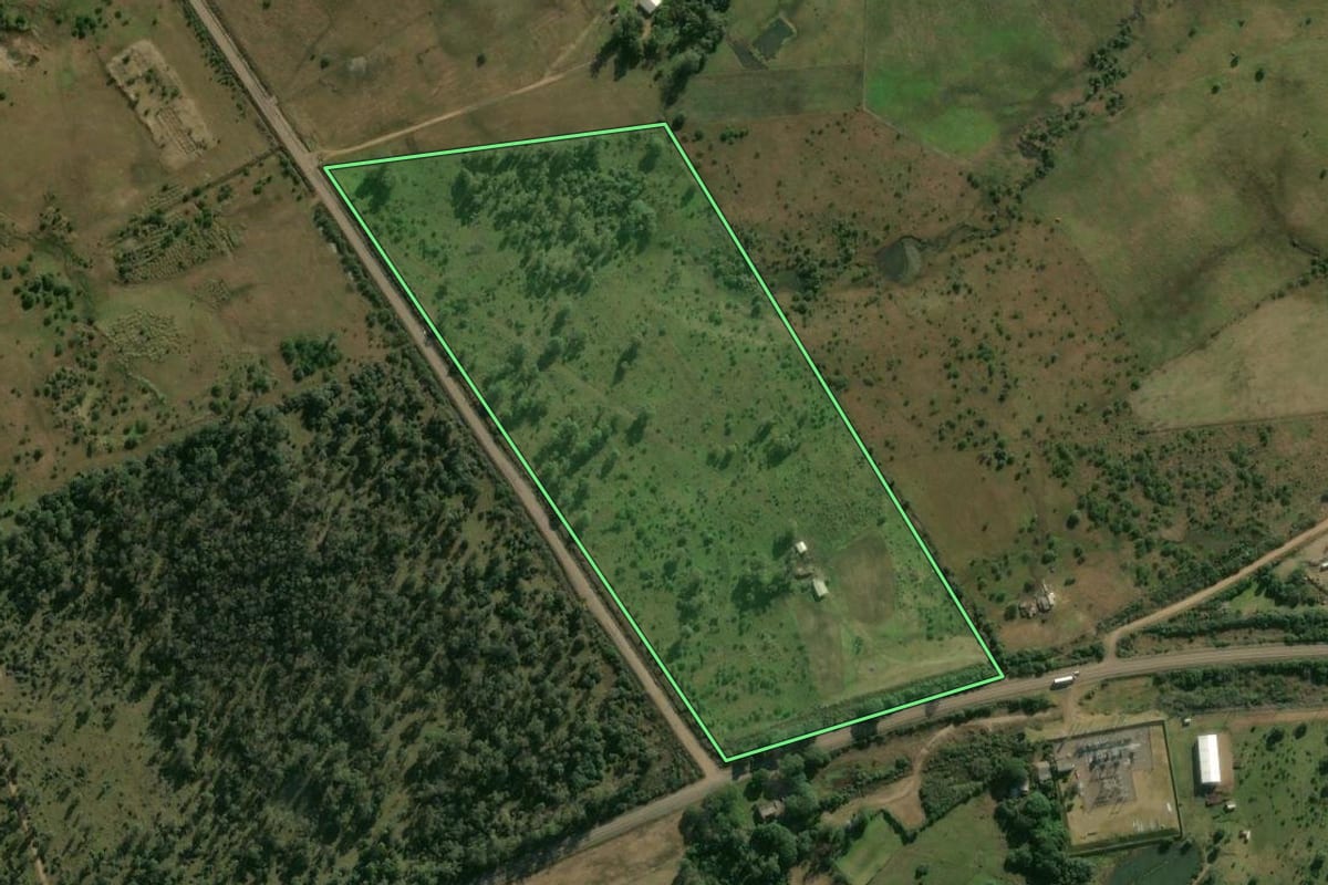 Imagem de satélite do imóvel rural em Alegrete (RS), com o contorno declarado no CAR desenhado por cima.