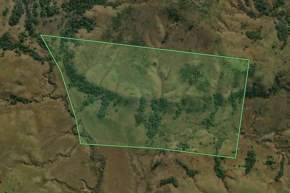 Imagem de satélite do imóvel rural em Alegrete (RS), com o contorno declarado no CAR desenhado por cima.