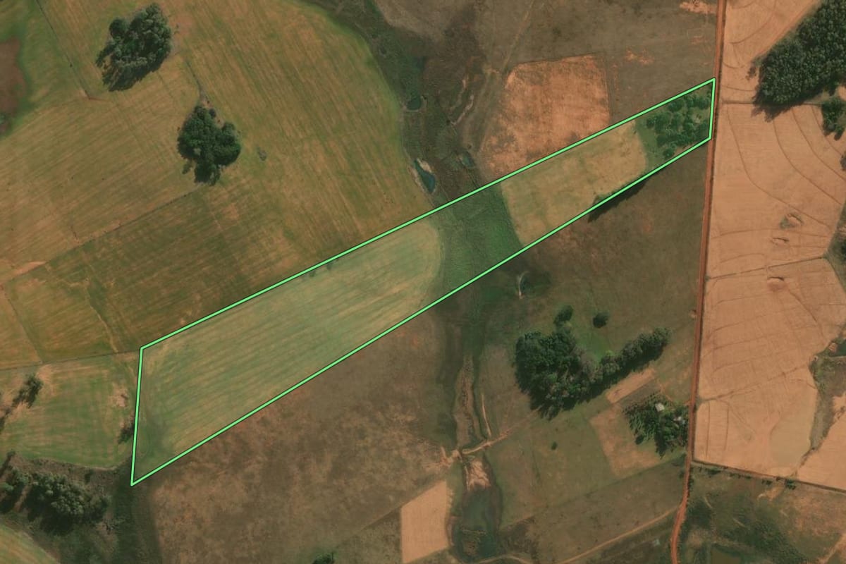Imagem de satélite do imóvel rural em Alegrete (RS), com o contorno declarado no CAR desenhado por cima.