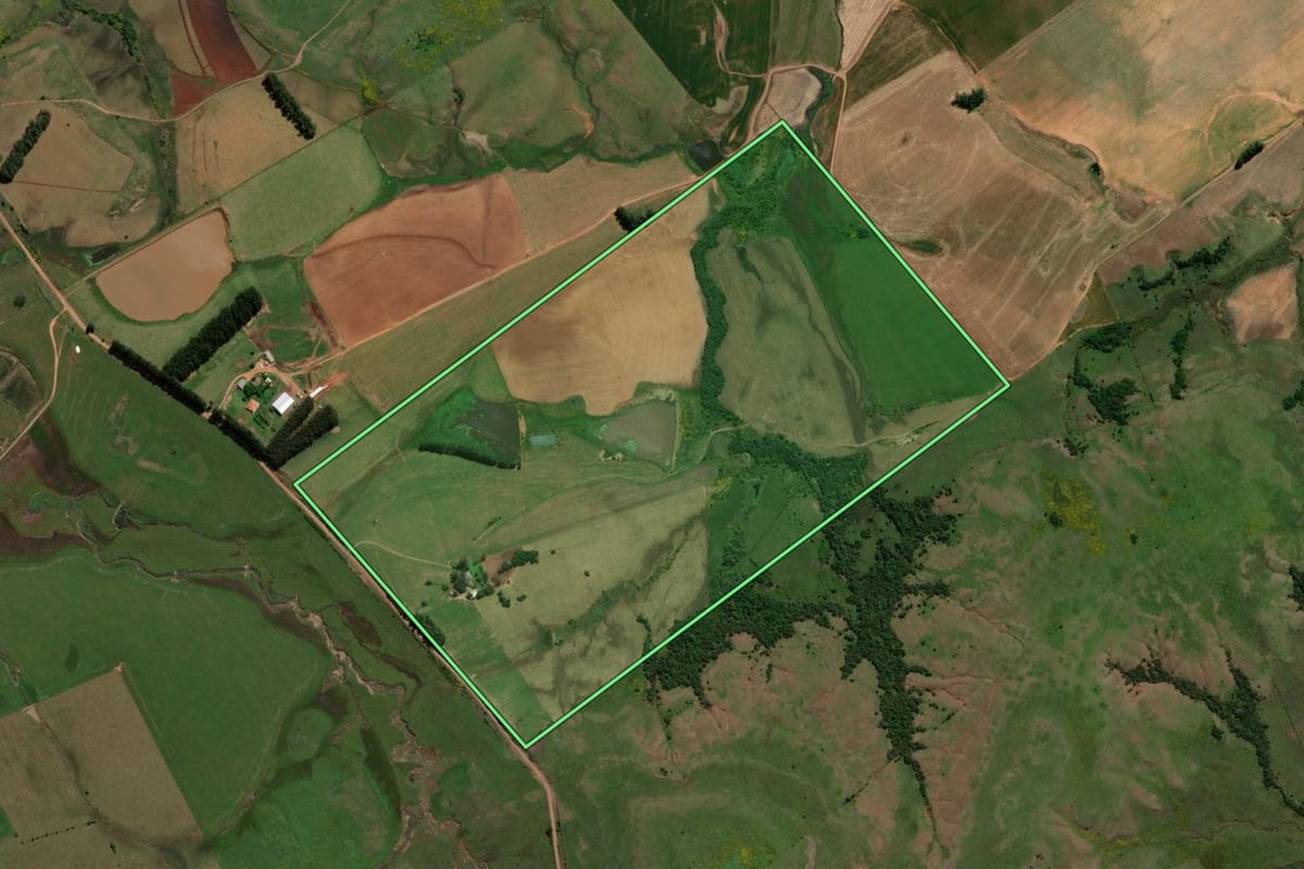 Imagem de satélite do imóvel rural em Alegrete (RS), com o contorno declarado no CAR desenhado por cima.