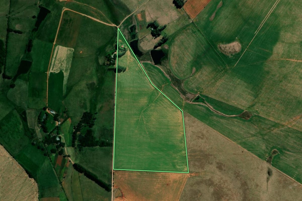 Imagem de satélite do imóvel rural em Alegrete (RS), com o contorno declarado no CAR desenhado por cima.