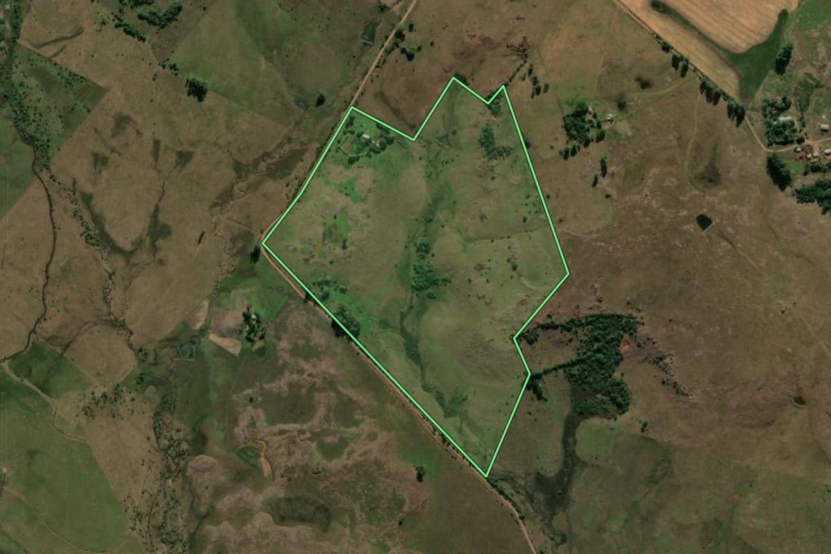 Imagem de satélite do imóvel rural em Alegrete (RS), com o contorno declarado no CAR desenhado por cima.
