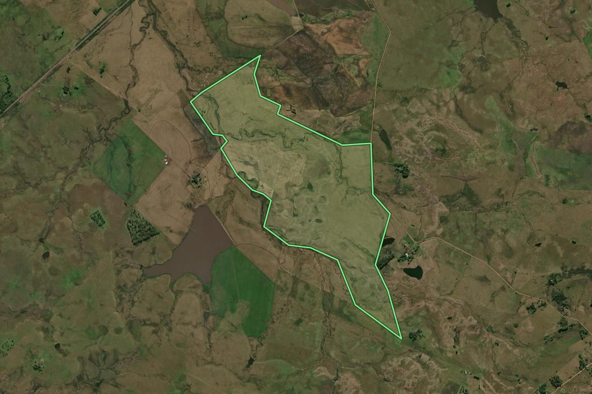 Imagem de satélite do imóvel rural em Alegrete (RS), com o contorno declarado no CAR desenhado por cima.