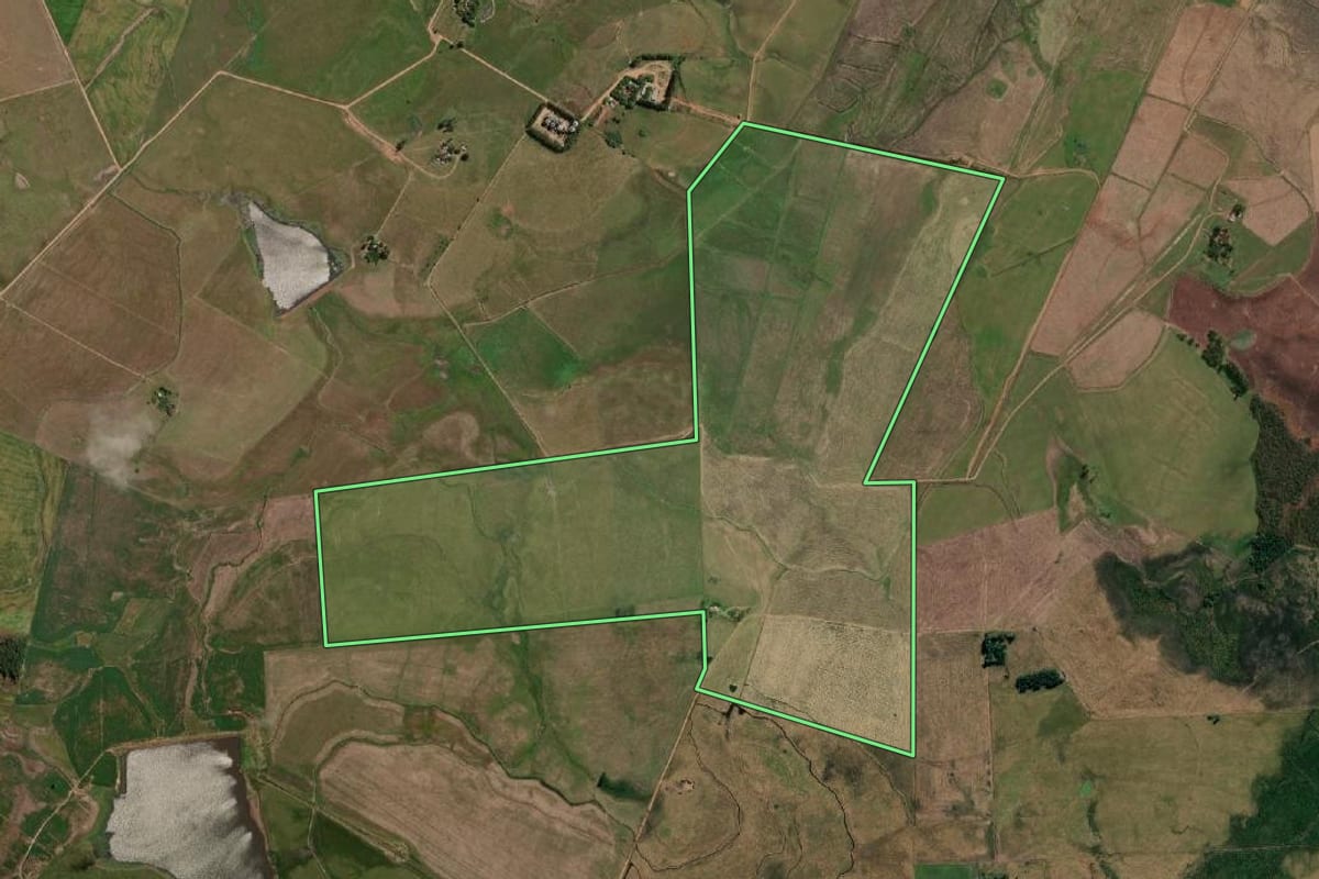Imagem de satélite do imóvel rural em Alegrete (RS), com o contorno declarado no CAR desenhado por cima.