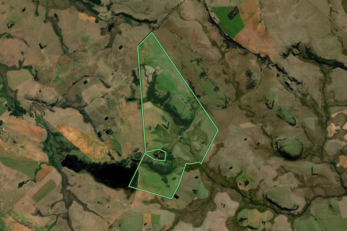 Imagem de satélite do imóvel rural em Alegrete (RS), com o contorno declarado no CAR desenhado por cima.