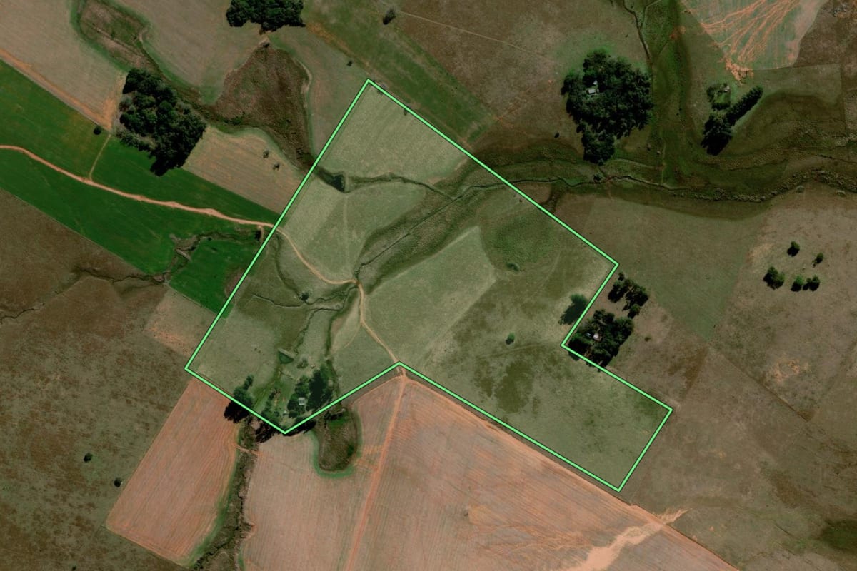 Imagem de satélite do imóvel rural em Alegrete (RS), com o contorno declarado no CAR desenhado por cima.