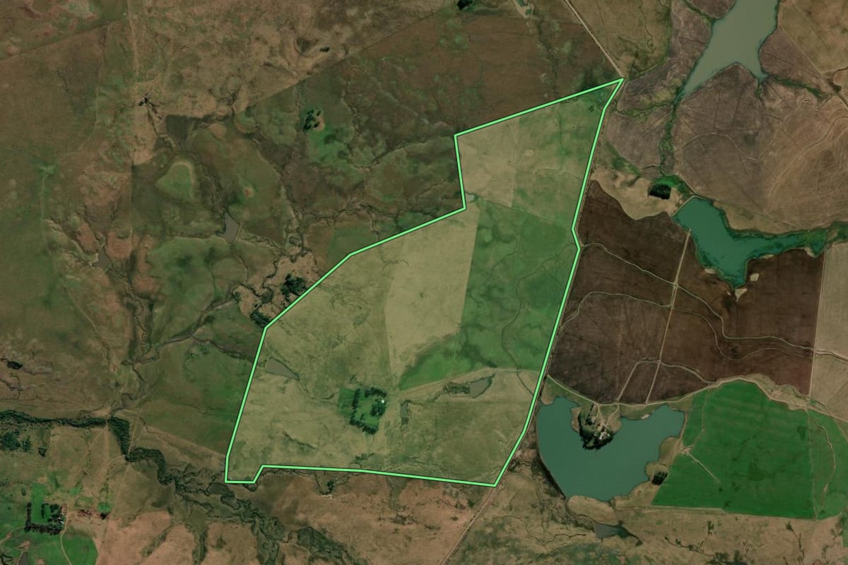 Imagem de satélite do imóvel rural em Alegrete (RS), com o contorno declarado no CAR desenhado por cima.
