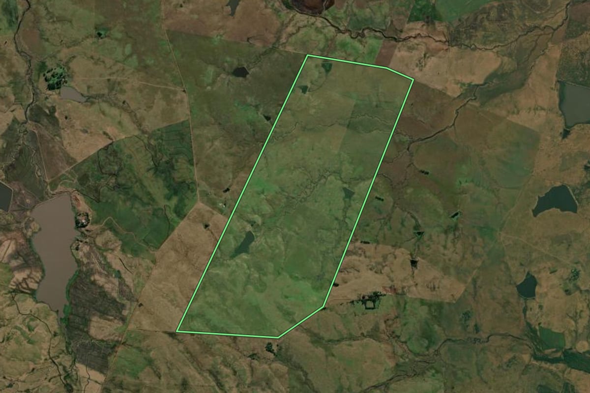Imagem de satélite do imóvel rural em Alegrete (RS), com o contorno declarado no CAR desenhado por cima.