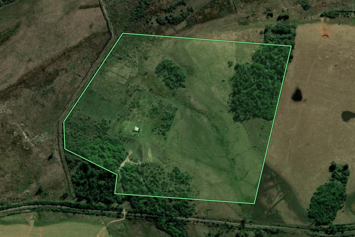 Imagem de satélite do imóvel rural em Alegrete (RS), com o contorno declarado no CAR desenhado por cima.