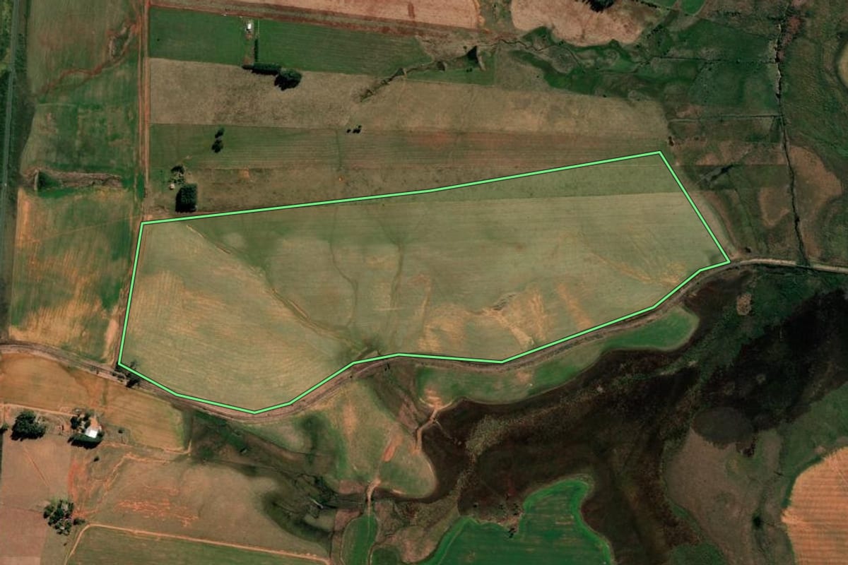 Imagem de satélite do imóvel rural em Alegrete (RS), com o contorno declarado no CAR desenhado por cima.
