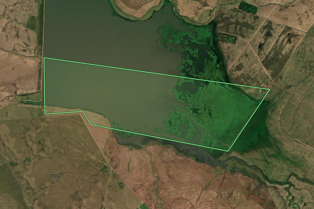 Imagem de satélite do imóvel rural em Alegrete (RS), com o contorno declarado no CAR desenhado por cima.