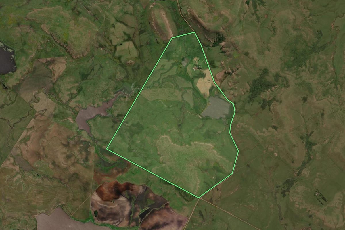 Imagem de satélite do imóvel rural em Alegrete (RS), com o contorno declarado no CAR desenhado por cima.