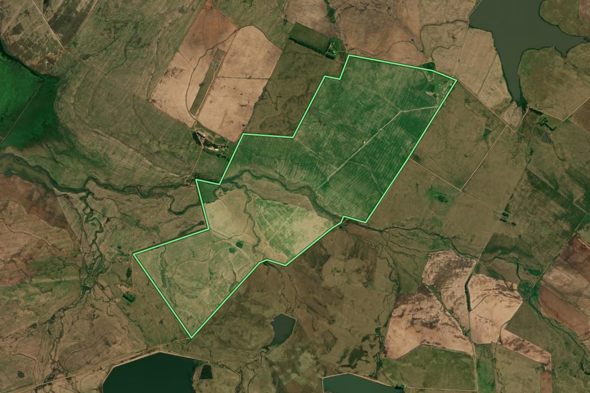 Imagem de satélite do imóvel rural em Alegrete (RS), com o contorno declarado no CAR desenhado por cima.