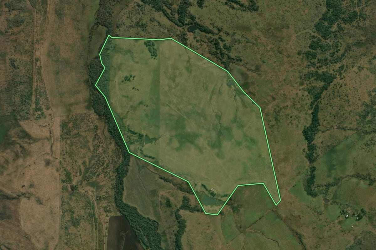 Imagem de satélite do imóvel rural em Alegrete (RS), com o contorno declarado no CAR desenhado por cima.